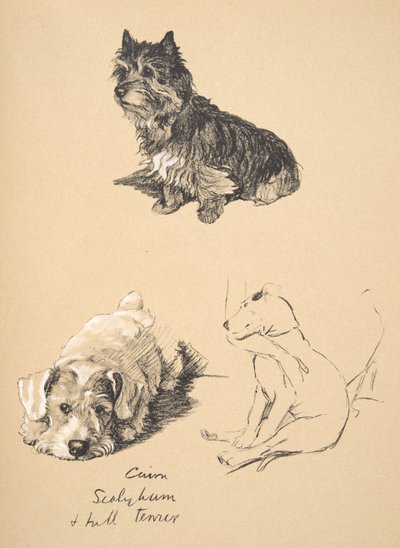 Cairn, Sealyham and Bull Terrier, 1930, Illustrations from his Sketch Book used for Just Among Friends by Cecil Charles Windsor Aldin