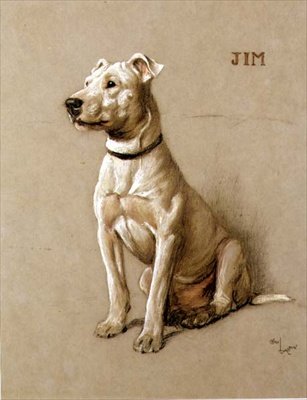 Jim, a Bull Terrier by Cecil Charles Windsor Aldin