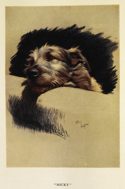 Micky, a Portrait of a Dog by Cecil Charles Windsor Aldin