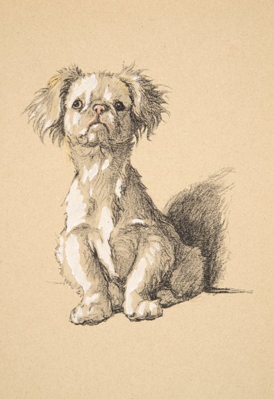 Peke, 1930, Illustrations from his Sketch Book used for Just Among Friends by Cecil Charles Windsor Aldin