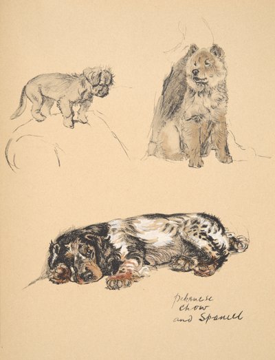 Pekinese, Chow and Spaniel, 1930, Illustrations from his Sketch Book used for Just Among Friends, Aldin, Cecil Charles Windsor, later Published by Eyre and Spottiswoode Limited, 1934 by Cecil Charles Windsor Aldin