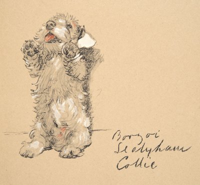 Sealyham, 1930, Illustrations from His Sketch Book Used for Just Among Friends, Later Published by Eyre and Spottiswoode Limited, 1934 by Cecil Charles Windsor Aldin