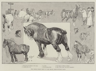The Shire Horse Show at the Royal Agricultural Hall by Cecil Charles Windsor Aldin