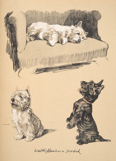 West Highlanders and Scotch, 1930, Illustrations from His Sketch Book Used for Just Among Friends, Later Published by Eyre and Spottiswoode Limited, 1934 by Cecil Charles Windsor Aldin