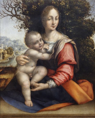 Madonna and Child (Our Lady of the Tree) by Cesare da Sesto