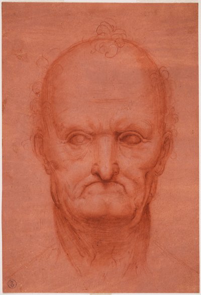 Head of Old Man by Cesare da attr.to Sesto