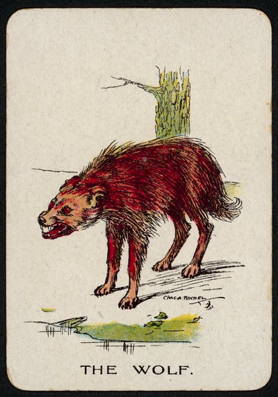 The Wolf by Charles A. Buchel