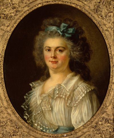 Portrait of a Lady by Charles Amedee Philippe van Loo