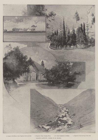 Cronje