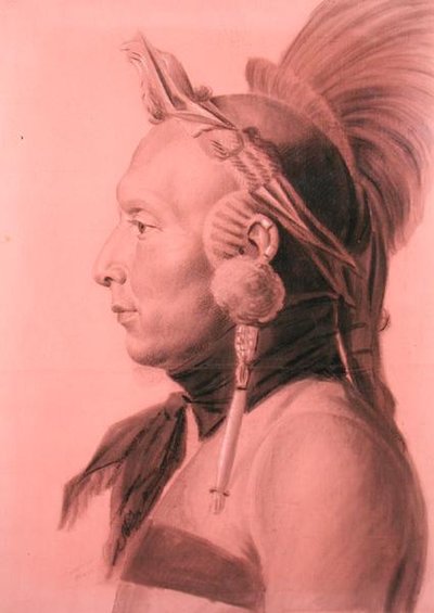 Portrait of an Indian, possibly Shahaka, Mandan Chief by Charles Balthazar Julien Févret de Saint Mémin