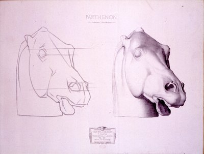 Horse Head from the West Pediment of the Parthenon, Plate 47 from Cours de Dessin by Charles Bargue
