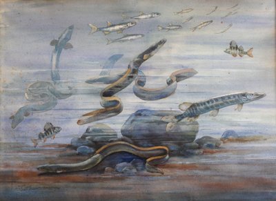 Sea Fish by Charles Bernier