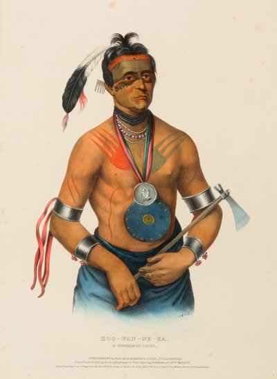 Hoo-Wan-Ne-Ka, a Winnebago Chief, from History of the Indian Tribes of North America by Charles Bird King
