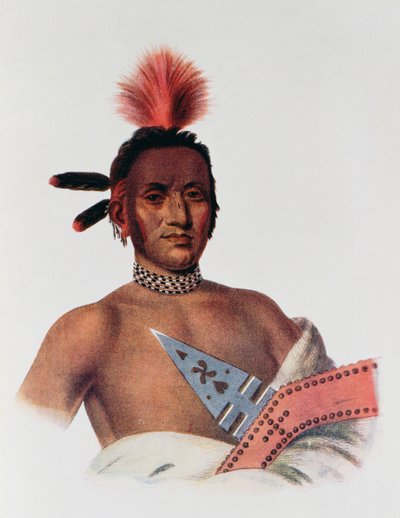 Moa-Na-Hon-Ga or 