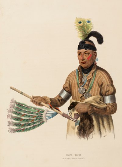 NAW-KAW. A WINNEBAGO CHIEF, from History of the Indian Tribes of North America by Charles Bird King