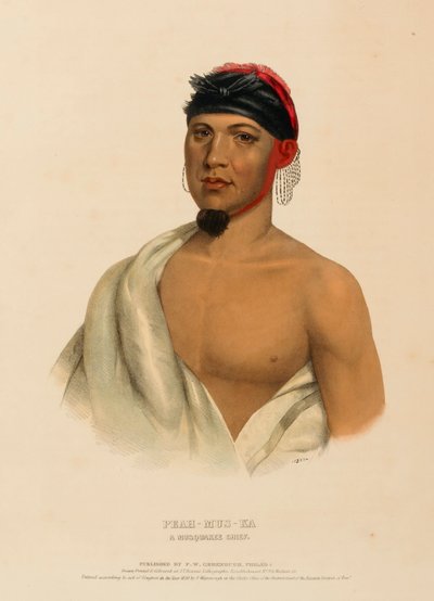 Peah-Mus-Ka, a Musquake Chief, from History of the Indian Tribes of North America by Charles Bird King
