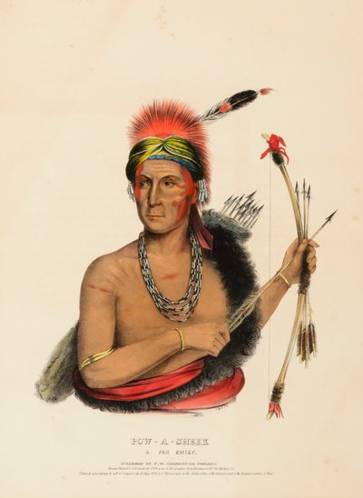 POW-A-SHEEK. A FOX CHIEF by Charles Bird King