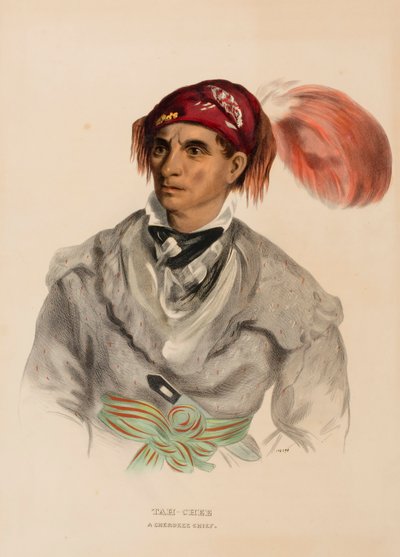 Tah-Chee (Dutch), A Cherokee Chief, from History of the Indian Tribes of North America by Charles Bird King