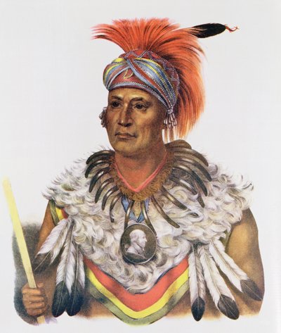Wapella or the Prince Chief of the Foxes, 1837 by Charles Bird King