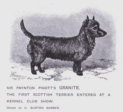 Sir Paynton Pigott