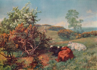 Landscape with Cattle In the Nower, Dorking, c1899 by Charles Collins