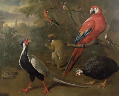 Pheasant, Macaw, Monkey, Parrots and Tortoise by Charles Collins