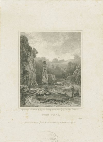 Dovedale - Cotton