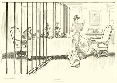 Illustration for The Social Ladder by Charles Dana Gibson