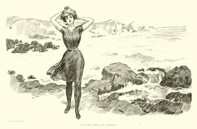 Illustration for The Social Ladder by Charles Dana Gibson