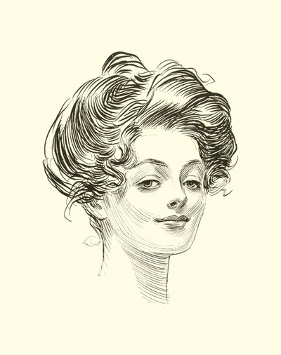 Illustration for The Social Ladder by Charles Dana Gibson