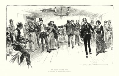 The Salons of New York by Charles Dana Gibson