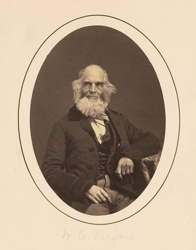 William Cullen Bryant by Charles DeForest Fredricks