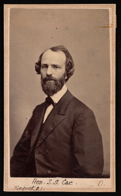 Portrait of Samuel Sullivan Cox by Charles De Forest Fredricks