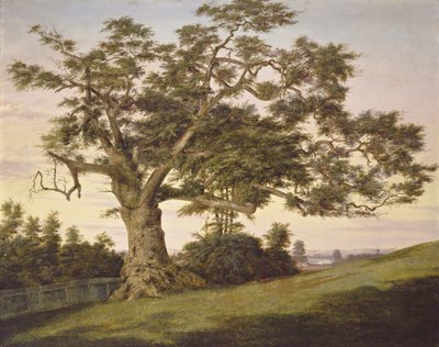 The Charter Oak by Charles de Wolf Brownell