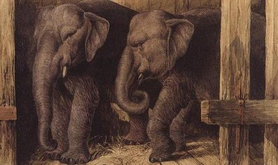 Two Elephants by Charles Edward Brittan