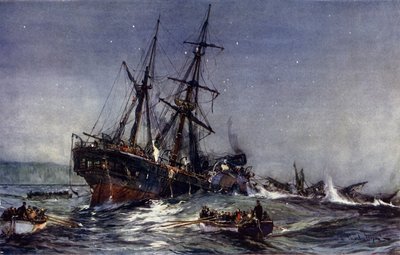 The Wreck of the Birkenhead by Charles Edward Dixon