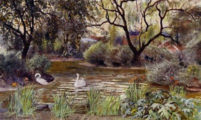London Zoo: Three Island Pond by Charles Edwin Flower
