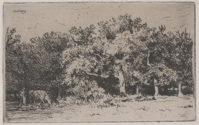 A Corner of the Forest of Fontainebleau by Charles Emile Jacque