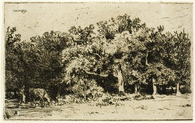 A Part of the Forest of Fontainebleau by Charles Emile Jacque