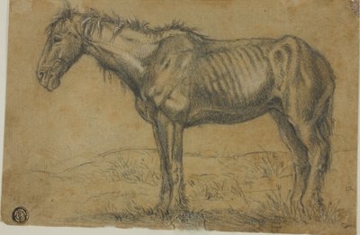 Emaciated Horse; Frontal View of a Horse by Charles Emile Jacque
