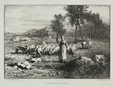 Herd of Swine by Charles Emile Jacque