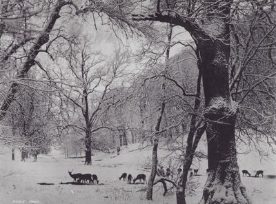 Knole Park by Charles Essenhigh Corke
