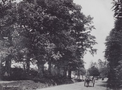 The Seven Oaks by Charles Essenhigh Corke