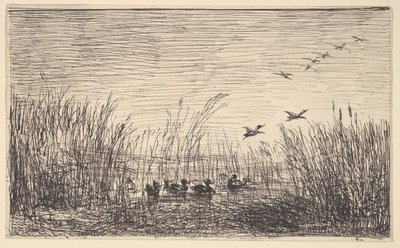 Ducks in the Marshes by Charles Francois Daubigny