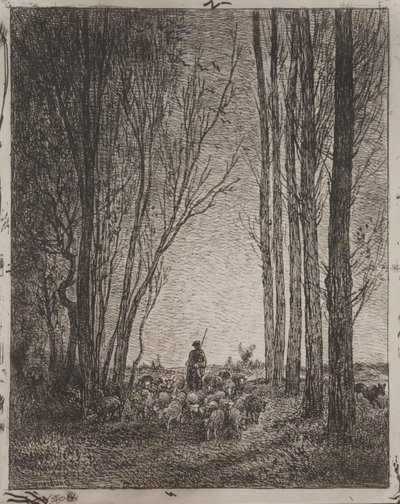 Gathering in the Flock, original impression 1862, printed in 1921 by Charles Francois Daubigny