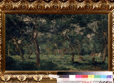 Olive Orchard by Charles Francois Daubigny