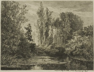 Stags at the Water