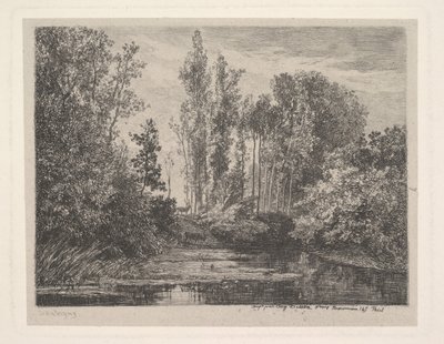 Stags at the Water