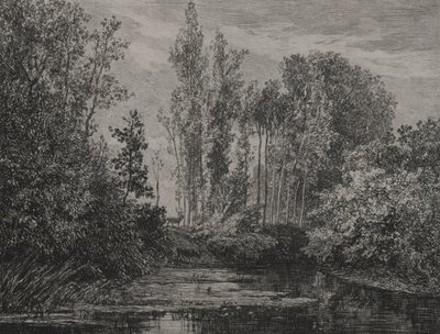 Stags at the Water