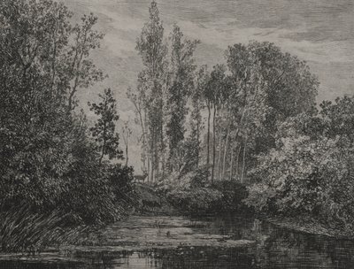 Stags at the waters edge, 1850 by Charles Francois Daubigny